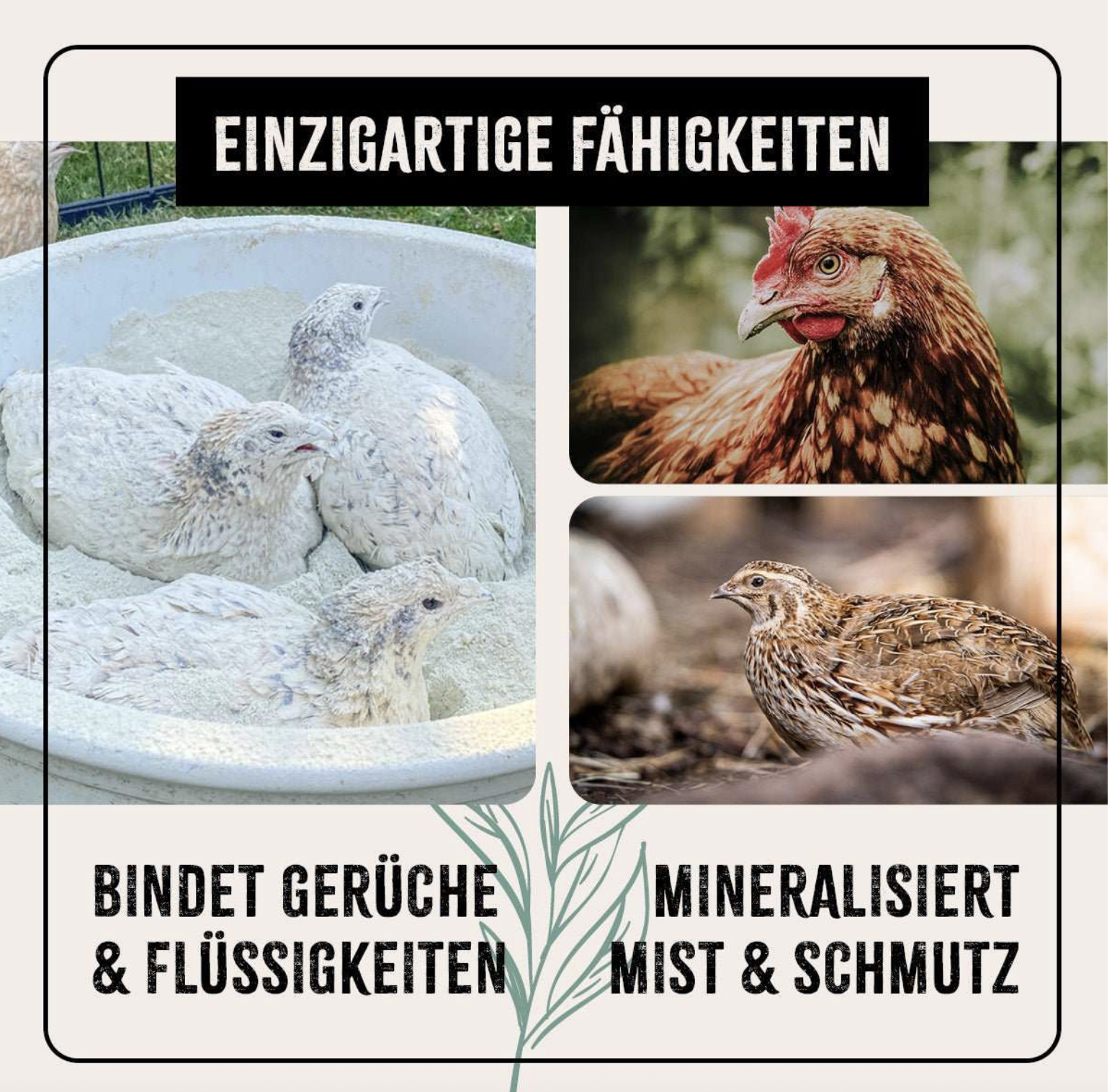 Screenshot 2026-02-03 at 9.36.59